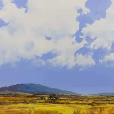 Homeland