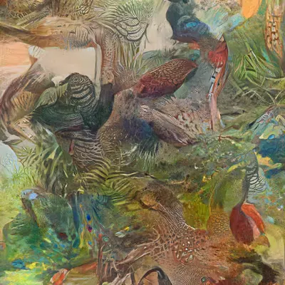 A Homage to Feathers