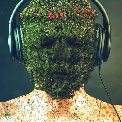 Mr. Green