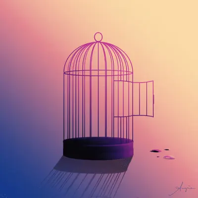 Set Free