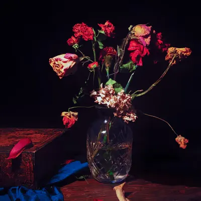 Still Life With Dry Flowers