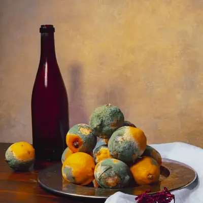 Moldy Lemons and Wine