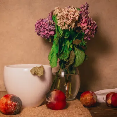 Still Life With Moldy Peaches
