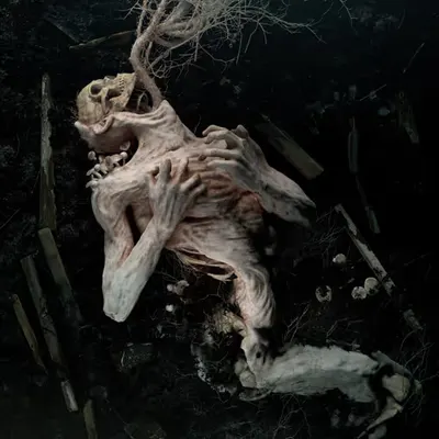 The Breathing