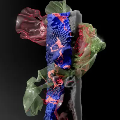 Hydro Plastique