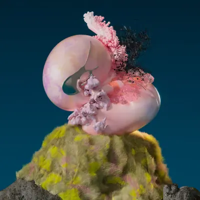 Foreign Matter