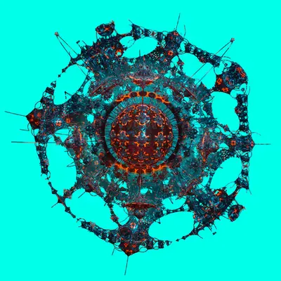 MetaForm3