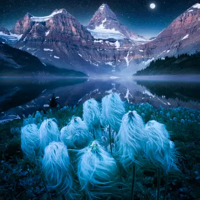 Clair De Lune