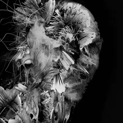 White Noise