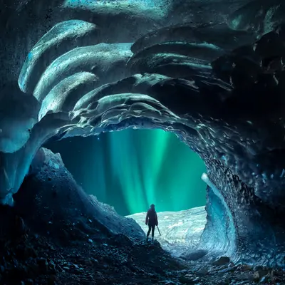 The Portal