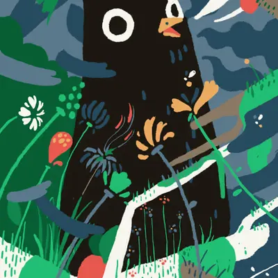 Owl