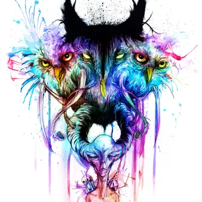 OWLEX