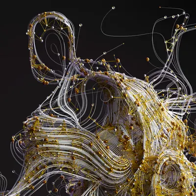 Fluid Network
