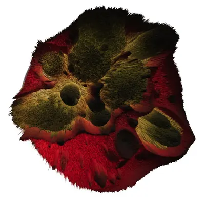 Microbial Apparatus No. 3 (3D Sculpture)