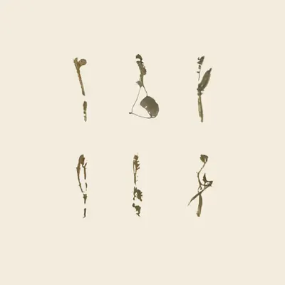 areal.collect(6)