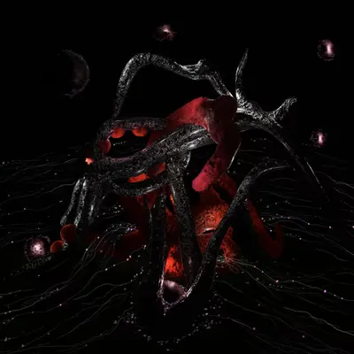 Noctiluca 