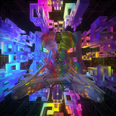 TRANSMIGRATE