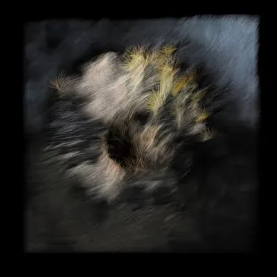 Dandelion (b63o,m,5853,4-21,1,5,18,9,12-c)