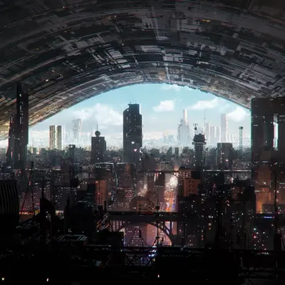 The Night District