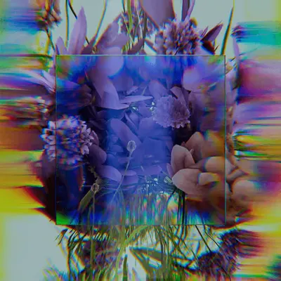 Metanature Ver 0.0.2