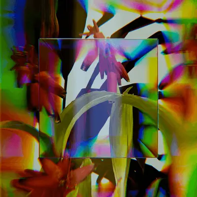 Metanature Ver 0.0.3