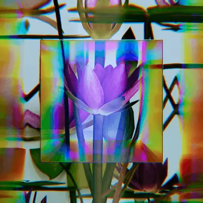 Metanature Ver 0.0.4