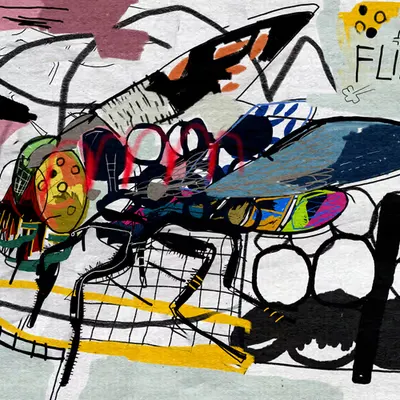 Flies