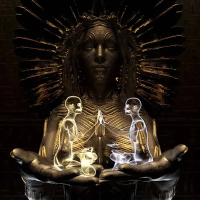 ENTITY 11