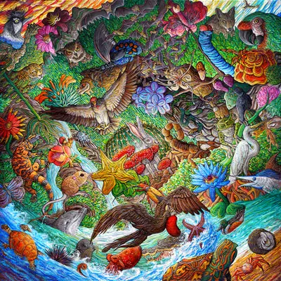 Wildlife Spirit