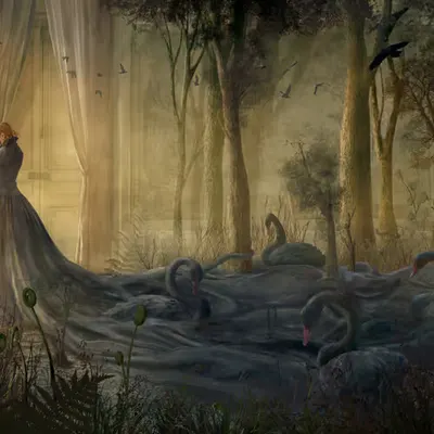 The Swan Lake