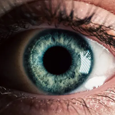 INTO THE EYES | The Child