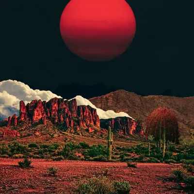 Midnight Flare, 2021
