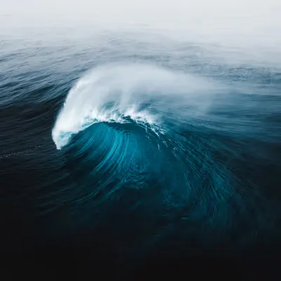 The Wave