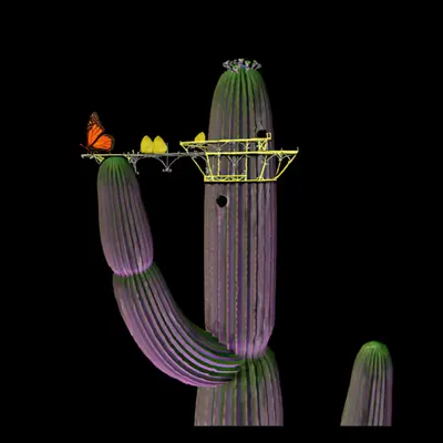 Butterfly Launchpad