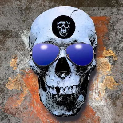 Shaded Skull Aviators