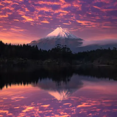 Awaken