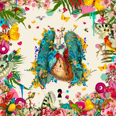 Krovblit 's Living Anatomy - Lungs