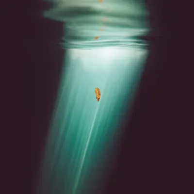Out of Bounds