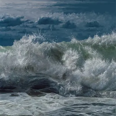 The Ocean