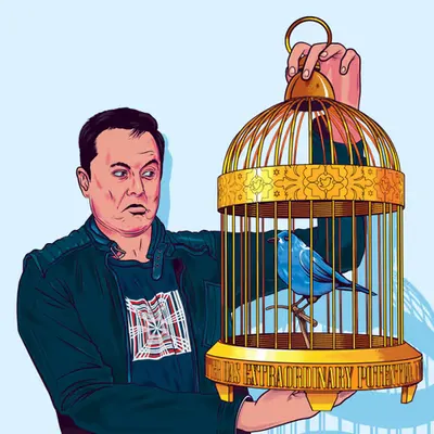 44 Billion Dollar Bird
