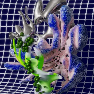 Fiberglass Dreams