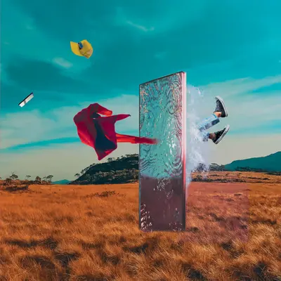 Portal Trip