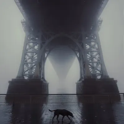 Finding My Way