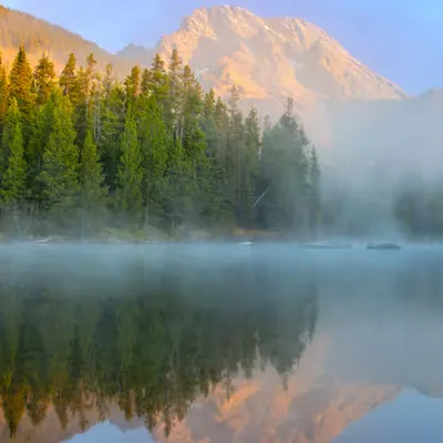 Solitude