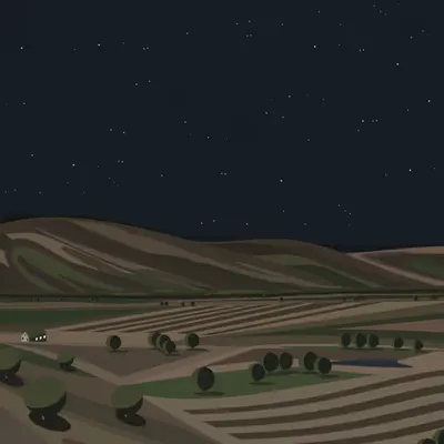 A Night In Salinas 