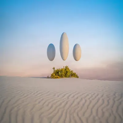 ///🥚🌱☀️⏳/// .