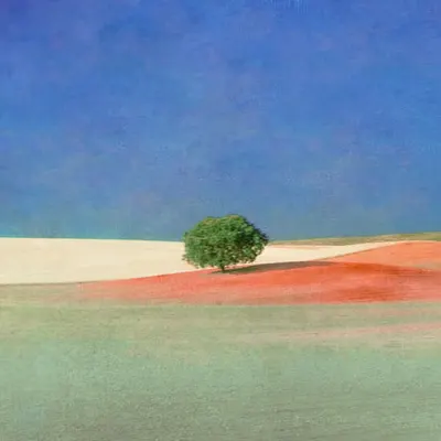 Between reality and imagination