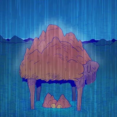 Shelter From the Storm 