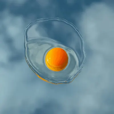 Egg