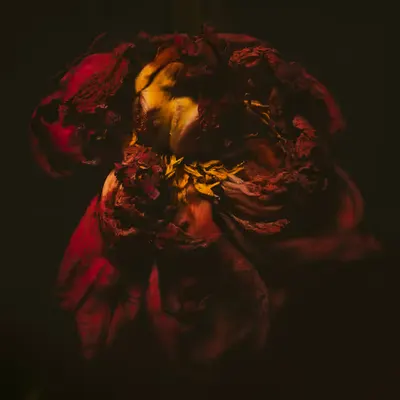 AGAMEMNON